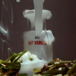 Not Vanilla 11 Not Vanilla -Perfume Art Store BTSO Not Vanilla Perfume Mood 2