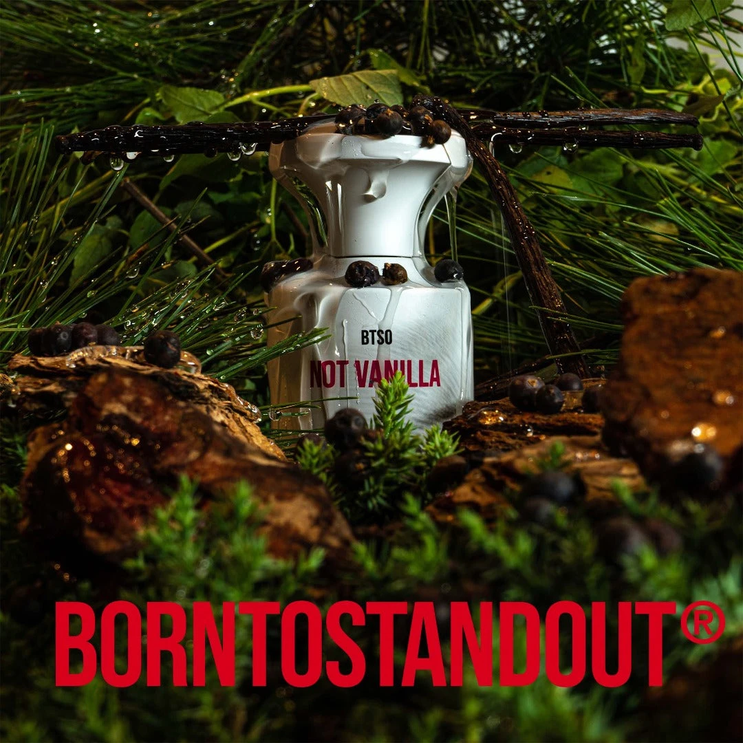 Not Vanilla 7 Not Vanilla - Image 5