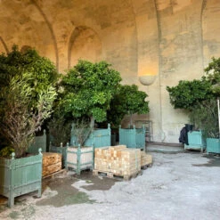 L'Or De Louis -Perfume Art Store L OrdeLouisbyArquiste 2 5e7a9c30 67df 4e12 be26 5cc20fcf665e