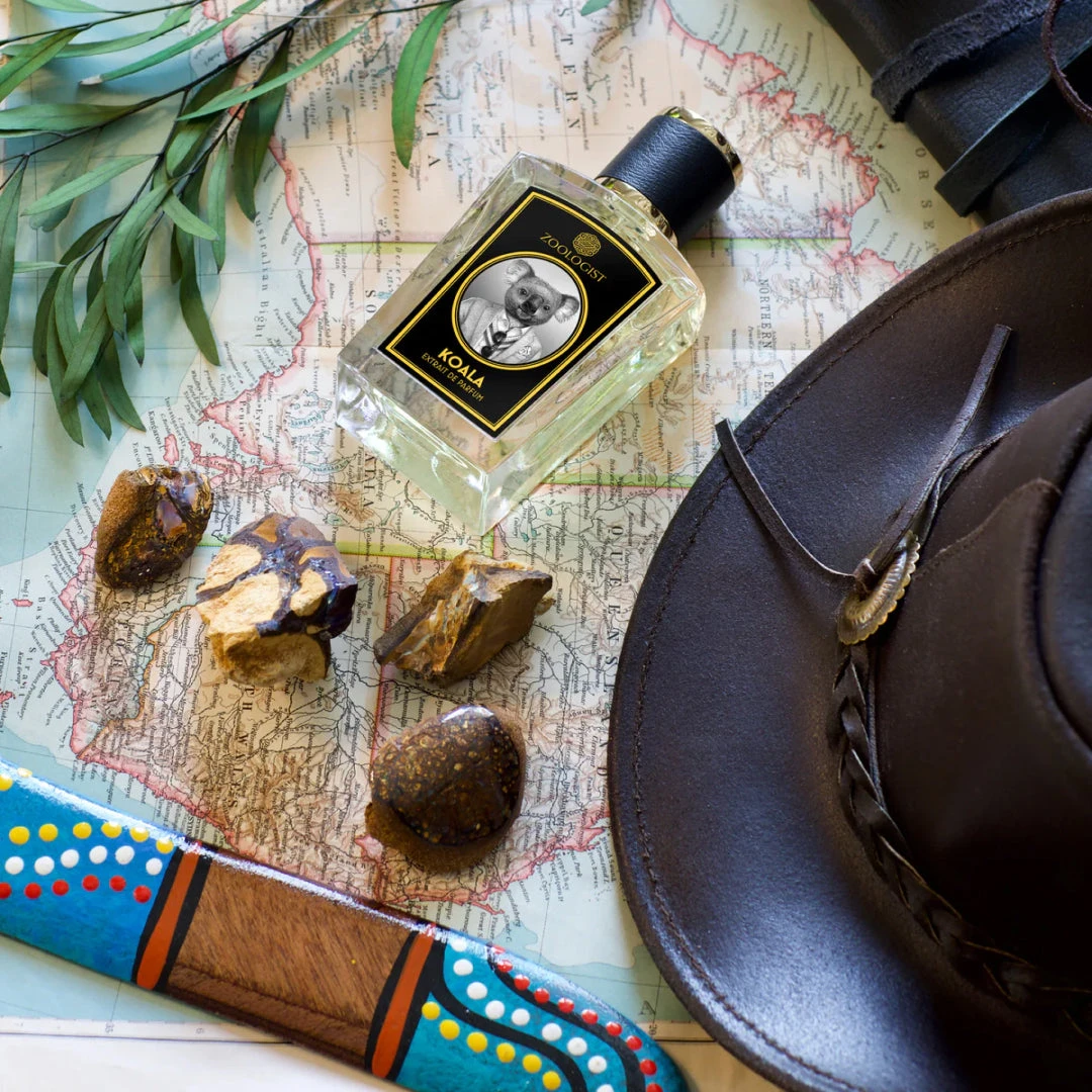 Koala 5 Koala - Image 3