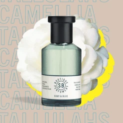 Tallulahs Camellia