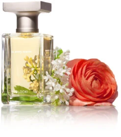 In Every Season -Perfume Art Store image 4727b59b ce95 4649 9e8b 7fd16a39365c