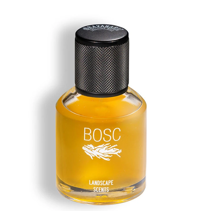Bosc 3 Bosc