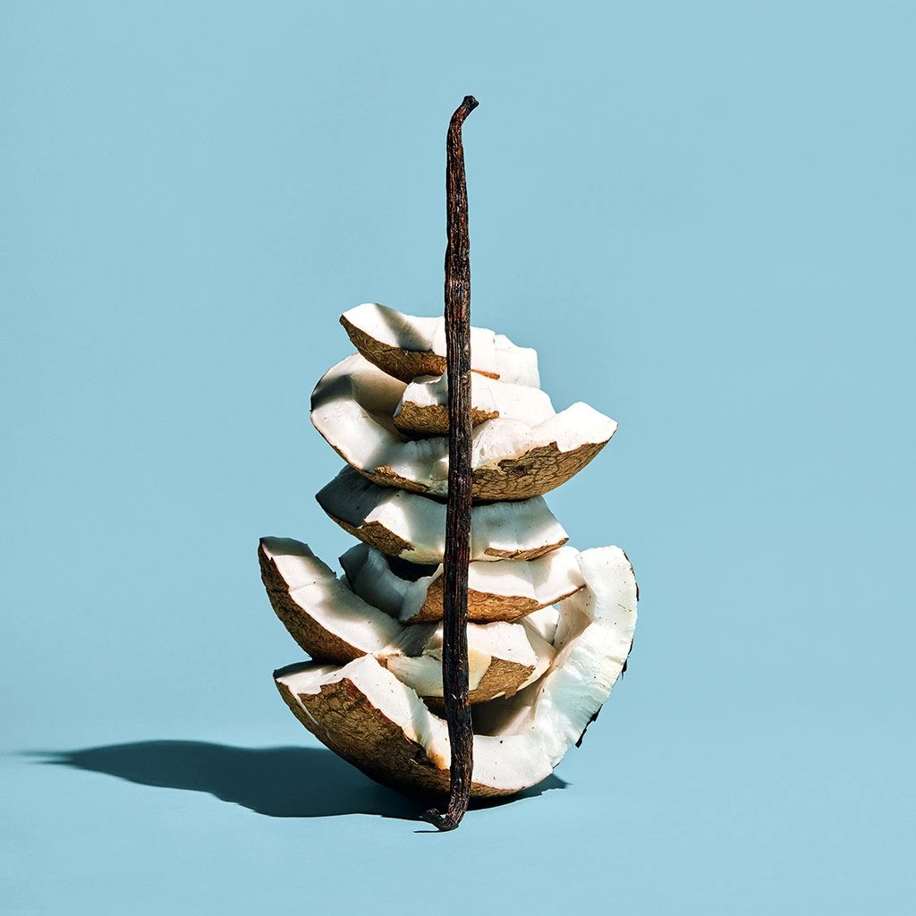 Dirty Coconut 10 Dirty Coconut - Image 8