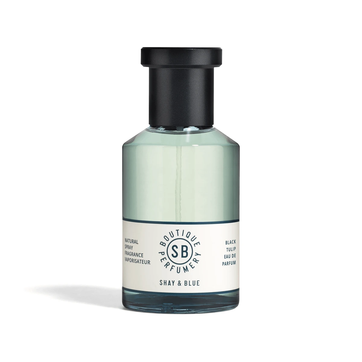 Black Tulip 5 Black Tulip - Image 3