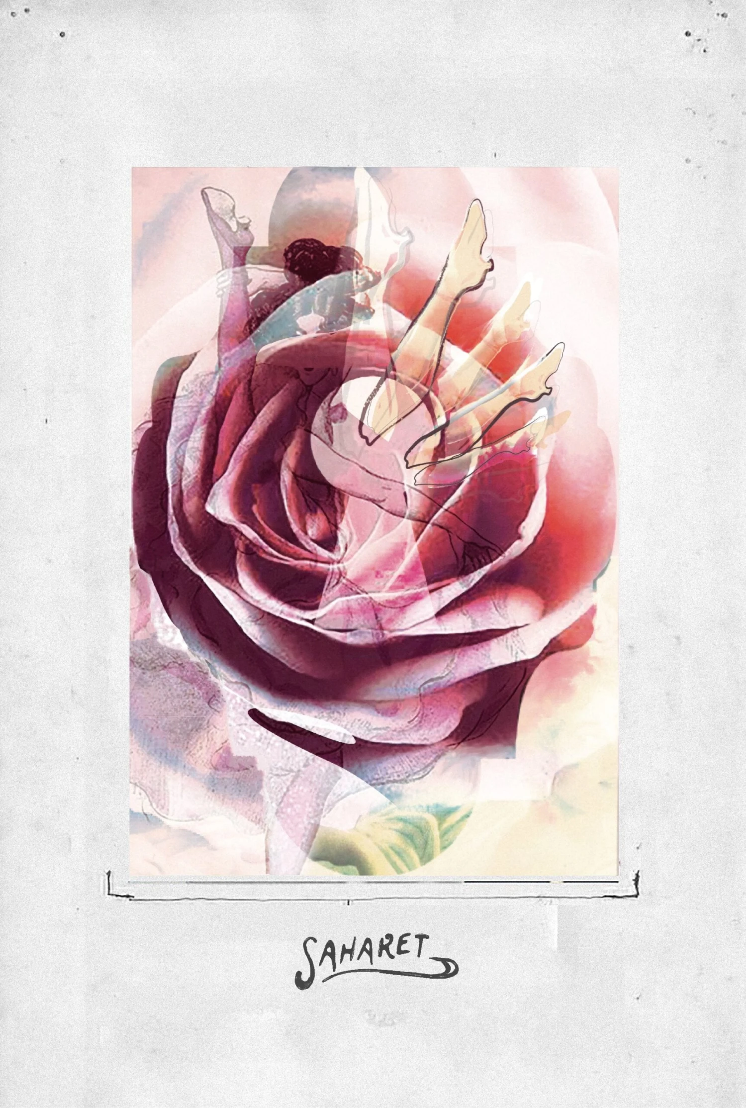 Saharet 4 Saharet - Image 2