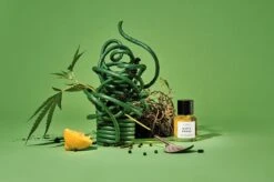 Dirty Grass -Perfume Art Store image 84992315 3445 4c6b bf48 b207f16a54ed