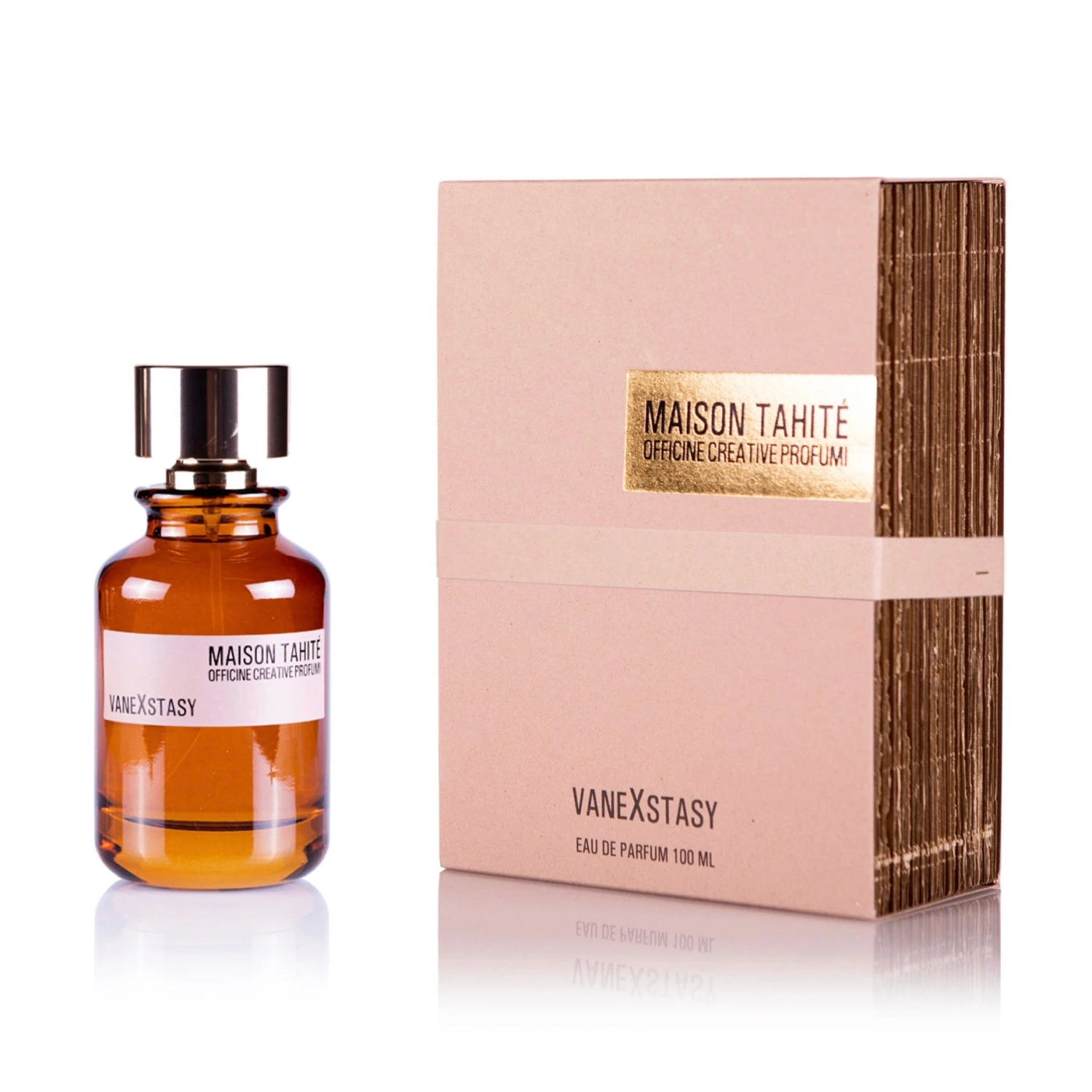 VaneXstasy 4 VaneXstasy - Image 2